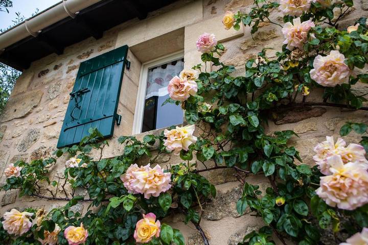 Beune in Les Eyzies, Périgord Noir