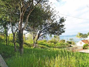 Smještaj Za Odmor za 6 Osobe u Lukoran, Otok Ugljan, Fotografija 2