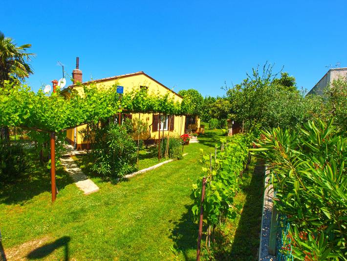 Ferienhaus für 5 Personen, mit Terrasse in Fazana - 3
