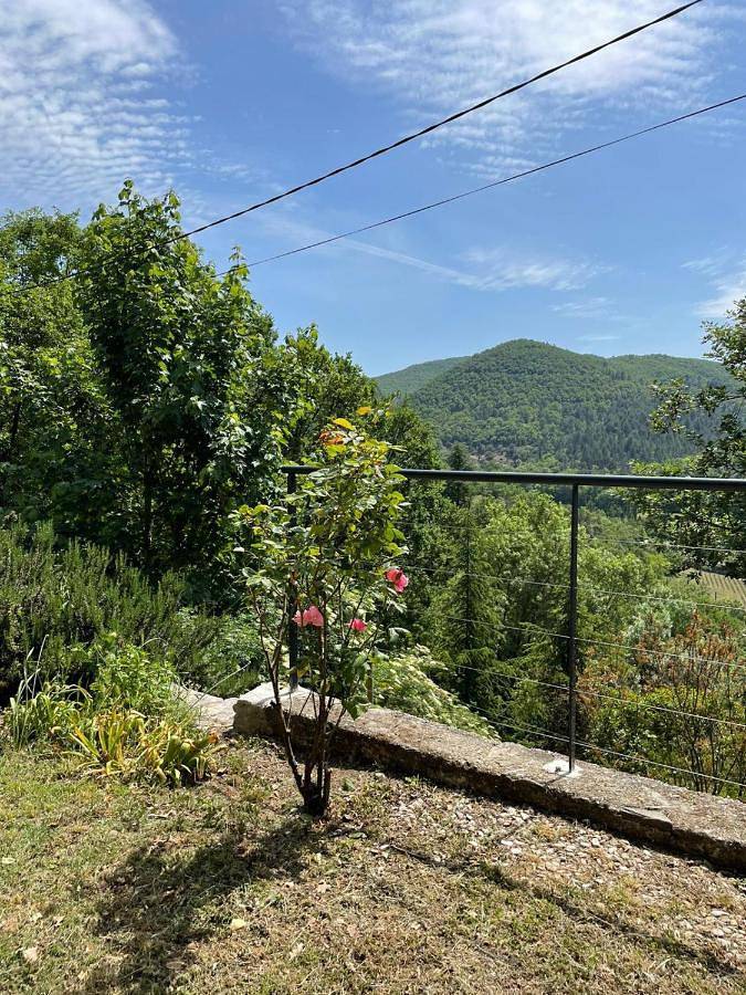 Location de vacances pour 6 personnes, avec jardin et vue à Le Vigan - 2