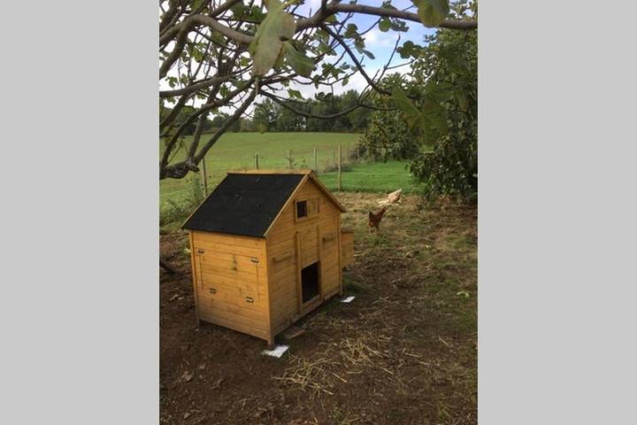 Location de vacances pour 3 personnes, avec jardin et vue, animaux acceptés à Biron - 4