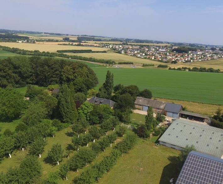 Location de vacances pour 7 personnes, avec terrasse et jardin à Goderville - 2