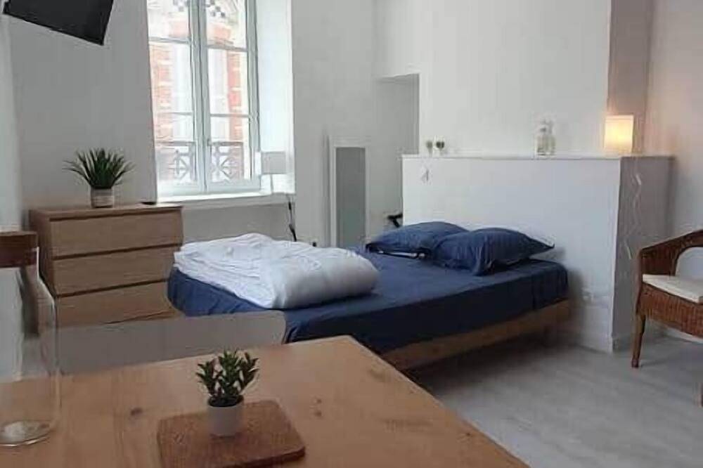 Entire apartment, Charming studio Bourgueil center in Bourgueil, Loire Valley