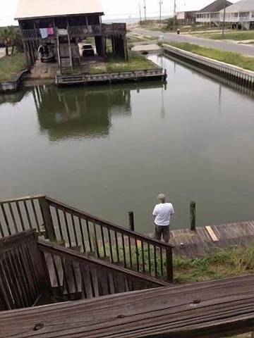 Vacation House for 9 Guests in Dauphin Island, Alabama Gulf Coast, Picture 1
