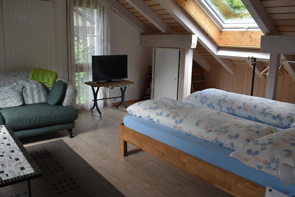 Appartamento intero, Barmettlenstrasse 26 in Engelberg, Canton Obvaldo