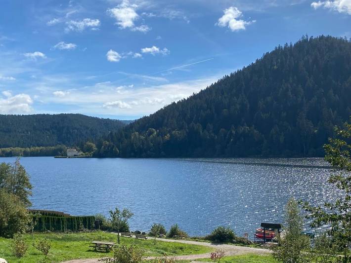 Gîte pour 6 personnes, avec terrasse, animaux acceptés à Tendon (Vosges) - 4