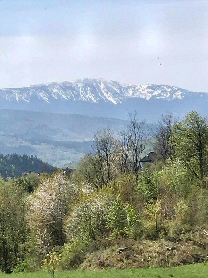 Kefasówka in Zawoja, Karpaty (Polska)