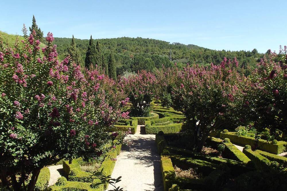 Douro - A casinha da Ana, foto 6