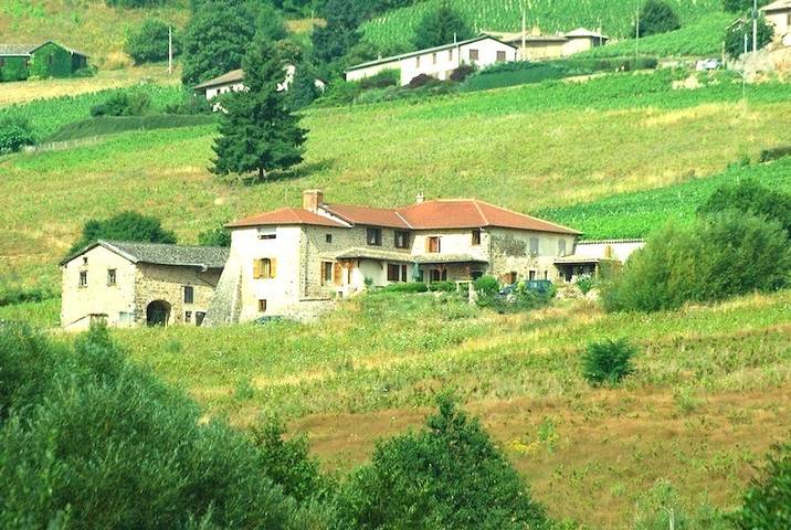 Gîte pour 15 personnes, avec terrasse, animaux acceptés dans Rhône - 2