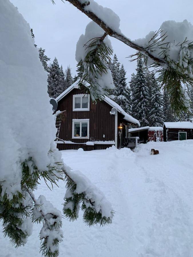 Chalet für 2 Personen, mit Ausblick und Sauna sowie Seeblick und Garten in Lappland (Schweden) - 2