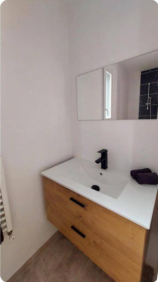 Gîte pour 2 personnes, avec jardin et terrasse dans Plan D Eau De La Cantache - 4