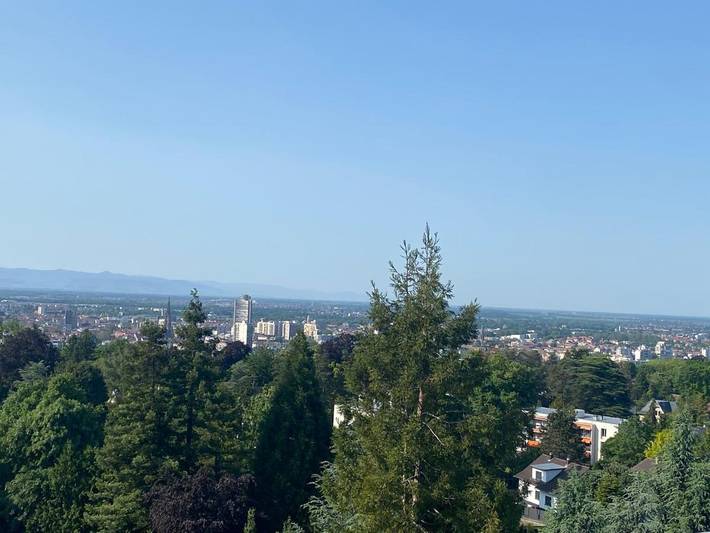 Gîte pour 4 personnes, avec Balcon et Terrasse à Lutterbach - 3