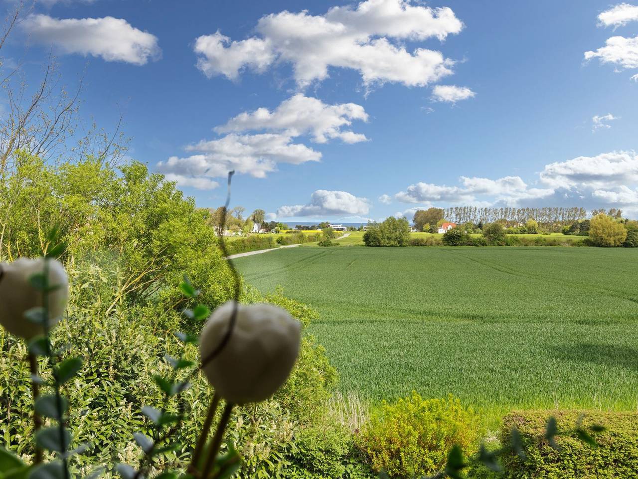 Ganze Ferienwohnung, Ferienwohnungen Kleckerburg mit Meerblick Ofc 05 - Nr.4/ 1-Raum-Fewo, max.2 Pers, Meerseite + Garten in Kühlungsborn, Mecklenburgische Ostseeküste
