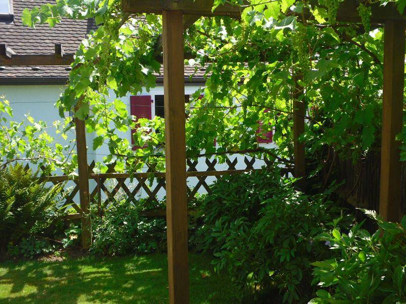 Ganze Ferienwohnung, Ferienwohnung Barbara Liebermann - 2-Zimmer-Ferienwohnung, sep. Wohnküche, Eg, 65 qm in Gaienhofen, Untersee