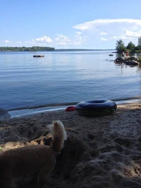 Vacation rental for 6 people, with terrace and yard in Sebago Lake