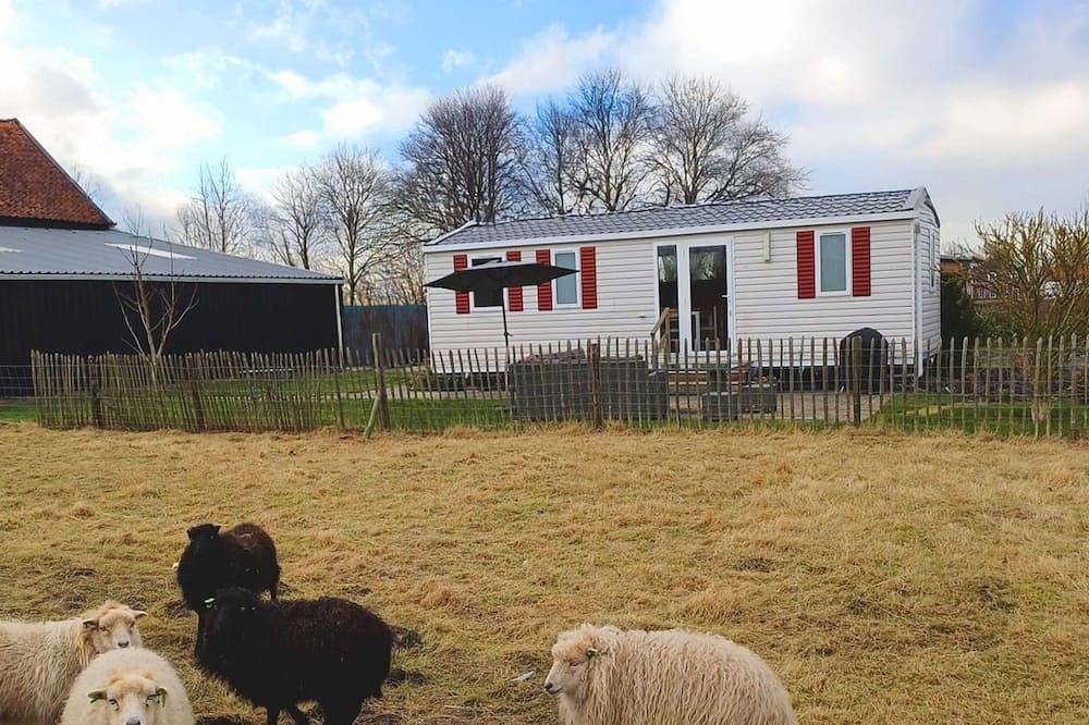 Camping Hofstede Zonnevliet - Zeeuwse Knoop in Zonnemaire, Zeeuwse Kust