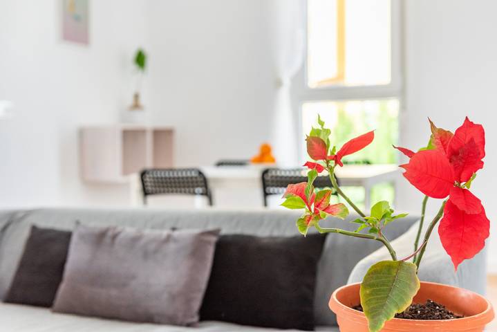 Apartamento entero, Apartamento 'Lopimar Playa' con terraza privada, Wi-Fi y aire acondicionado in Canet de Berenguer, Costa de Valencia