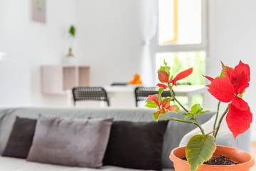 Apartamento para 4 Personas en Canet de Berenguer, Costa de Valencia, Foto 2