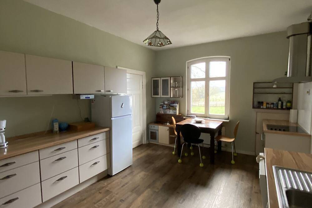 Urlaub auf dem Alpakahof Carpe Diem in Giesensdorf, Naturpark Lauenburgische Seen