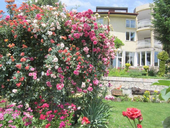 Maison d’hôte pour 4 personnes, avec jardin ainsi que piscine et vue à Sofia - 3