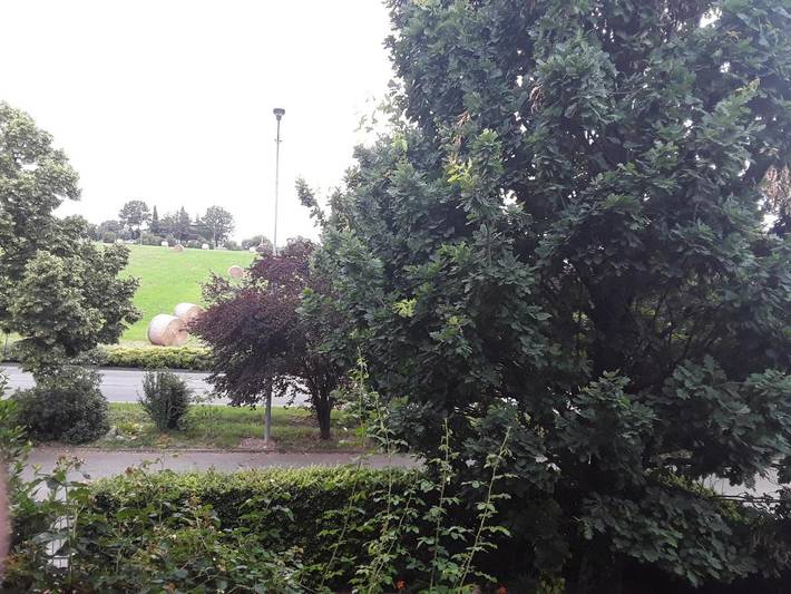 Chambre d’hôte pour 4 personnes, avec vue et jardin, animaux acceptés à Maranello - 2