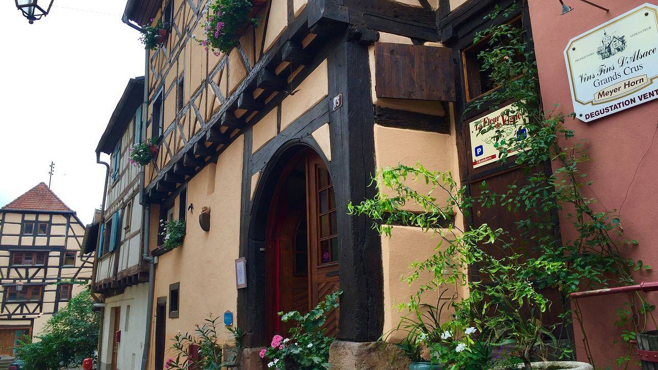 Ganze Ferienwohnung, Ferienwohnung für 2 Personen (40 m²) in Riquewihr in Riquewihr, Regionaler Naturpark Belchen der Vogesen