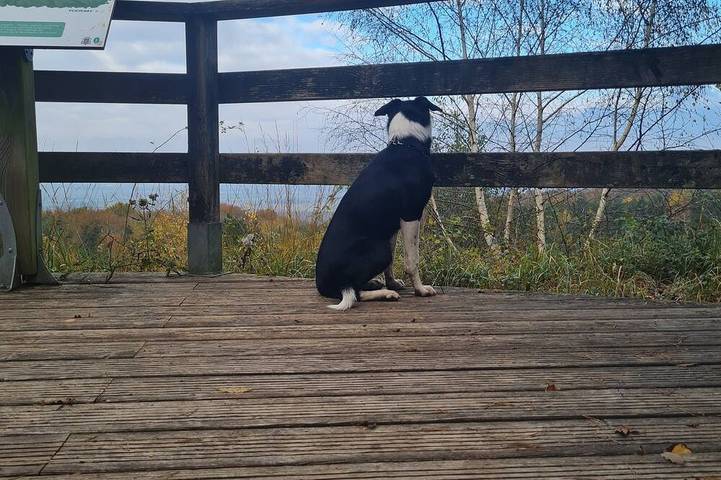 Gîte pour 6 personnes, avec jardin dans Mailly-Champagne - 4