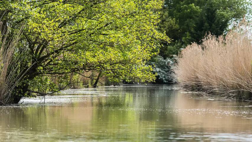 Mobil home pour 6 personnes, avec piscine à Bois-de-Céné