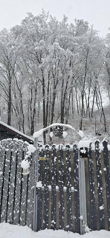 Appartement entier, Studio dorința in Deva (Roumanie), Carpates