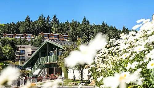 Gîte pour 3 personnes, avec vue et terrasse dans Station de Bolquère Pyrénées 2000 - 4