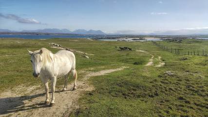 Bungalow for 6 People in Connemara, County Galway, Photo 3