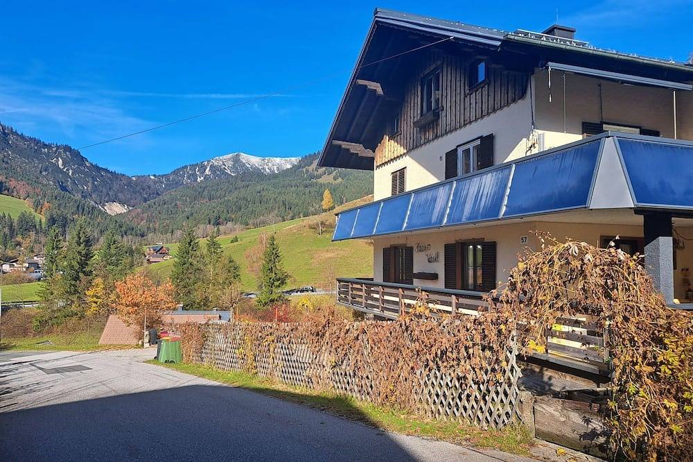 Ganze Wohnung, Appartement 2 in Dachsteingebirge, Rußbach am Paß Gschütt