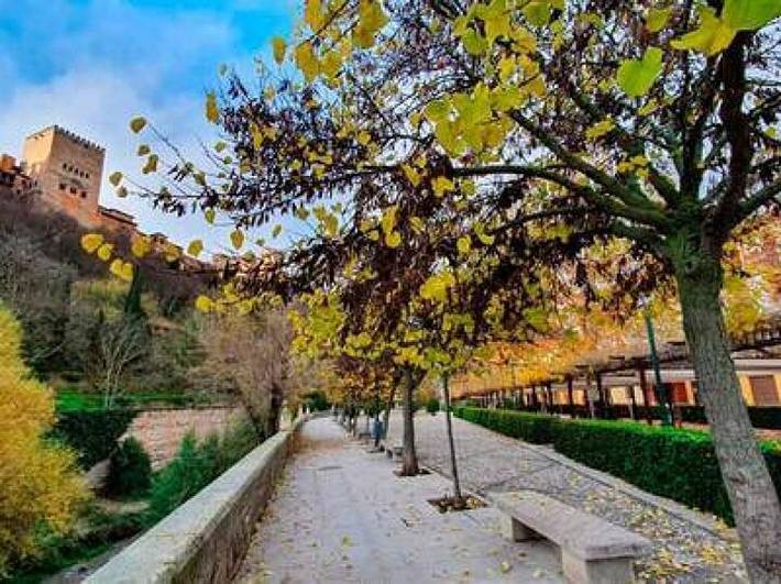 Apartamento entero, Qh Santa Ana in Granada, Provincia de Granada