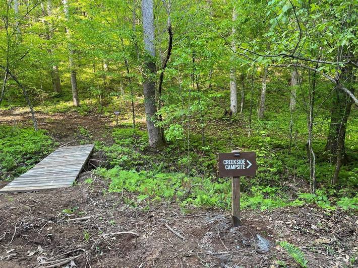 Camping für 6 Personen, mit Haustier in North Carolina