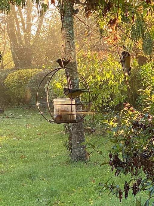 Gîte pour 4 personnes, avec terrasse à Vue d'Esprit - 4
