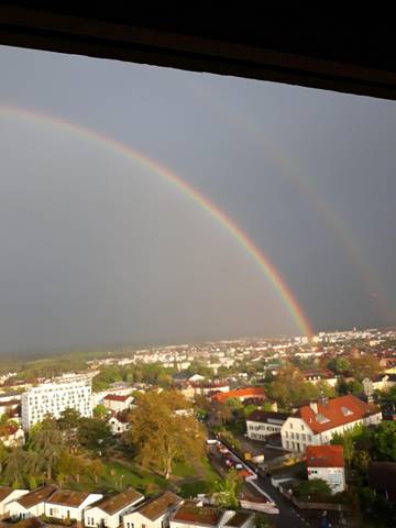Ferienwohnung für 4 Personen in Neustadt an der Weinstraße, Pfälzer Rheinebene, Bild 2