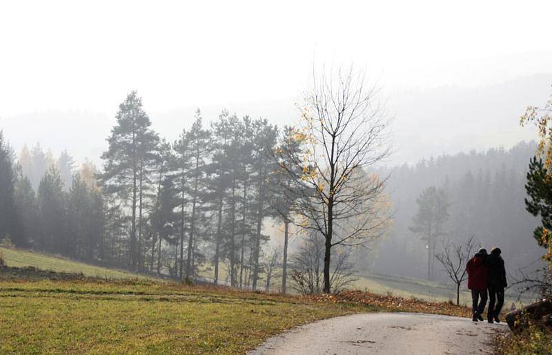 Biohof Besenbäck - Ferienwohnung Flora in Kleinnondorf, Bezirk Zwettl