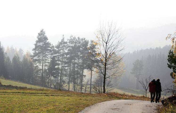 Ferienhaus für 4 Personen, mit Garten in Waldviertel - 4