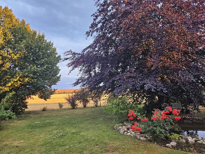 Ferienwohnung für 2 Personen, mit Garten, kinderfreundlich in Mücheln (Geiseltal) - 4