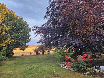 Bauernhof für 2 Personen in Mücheln (Geiseltal), Saalekreis, Bild 3