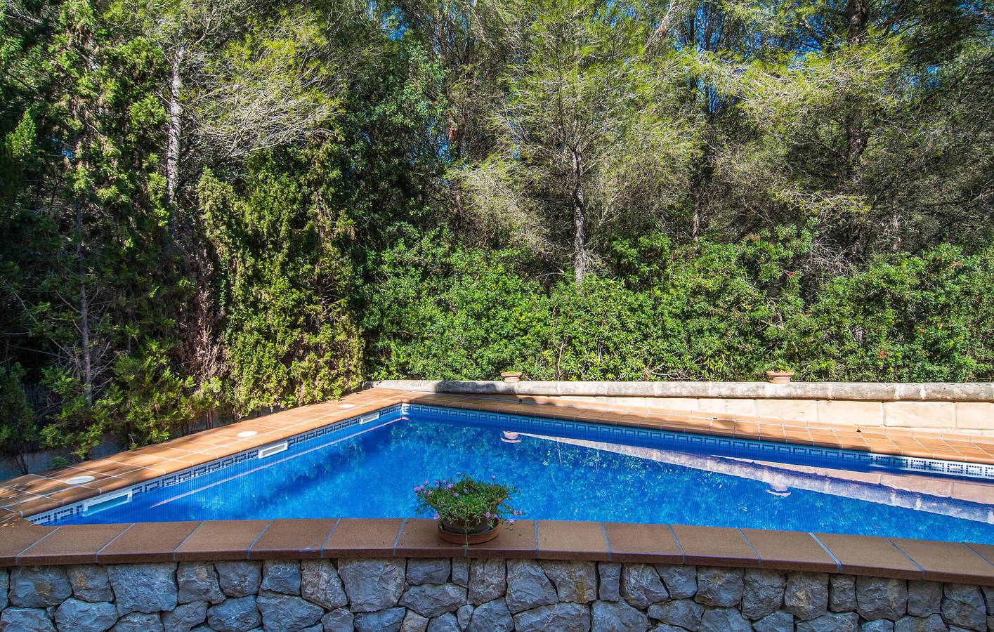Oase am Strand mit Pool, AC und Grill - 2 km zum Strand in Bonaire, Alcúdia