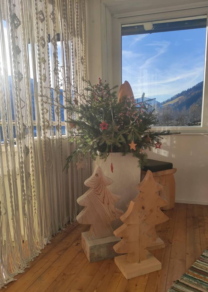 Ganze Ferienwohnung, Appartement/Fewo in Hohe Tauern, Rangersdorf
