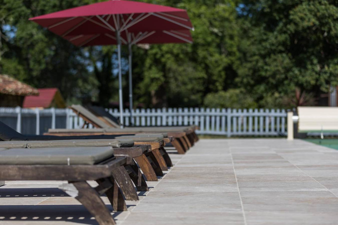 Safrachêne in Landes