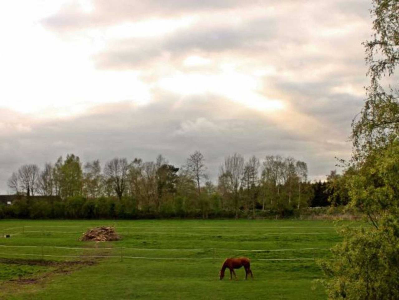 Ganze Ferienwohnung, Ferienwohnungen Hofmann, 55161 in Detern, Ostfriesland