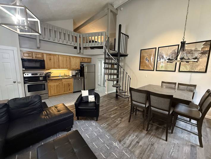 Loft for 12 people, with terrace in Michigan