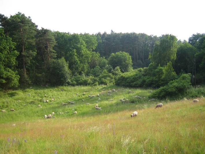 Kleines Gästehaus der Bergschäferei in Garzau-Garzin, Märkische Schweiz-Oderland