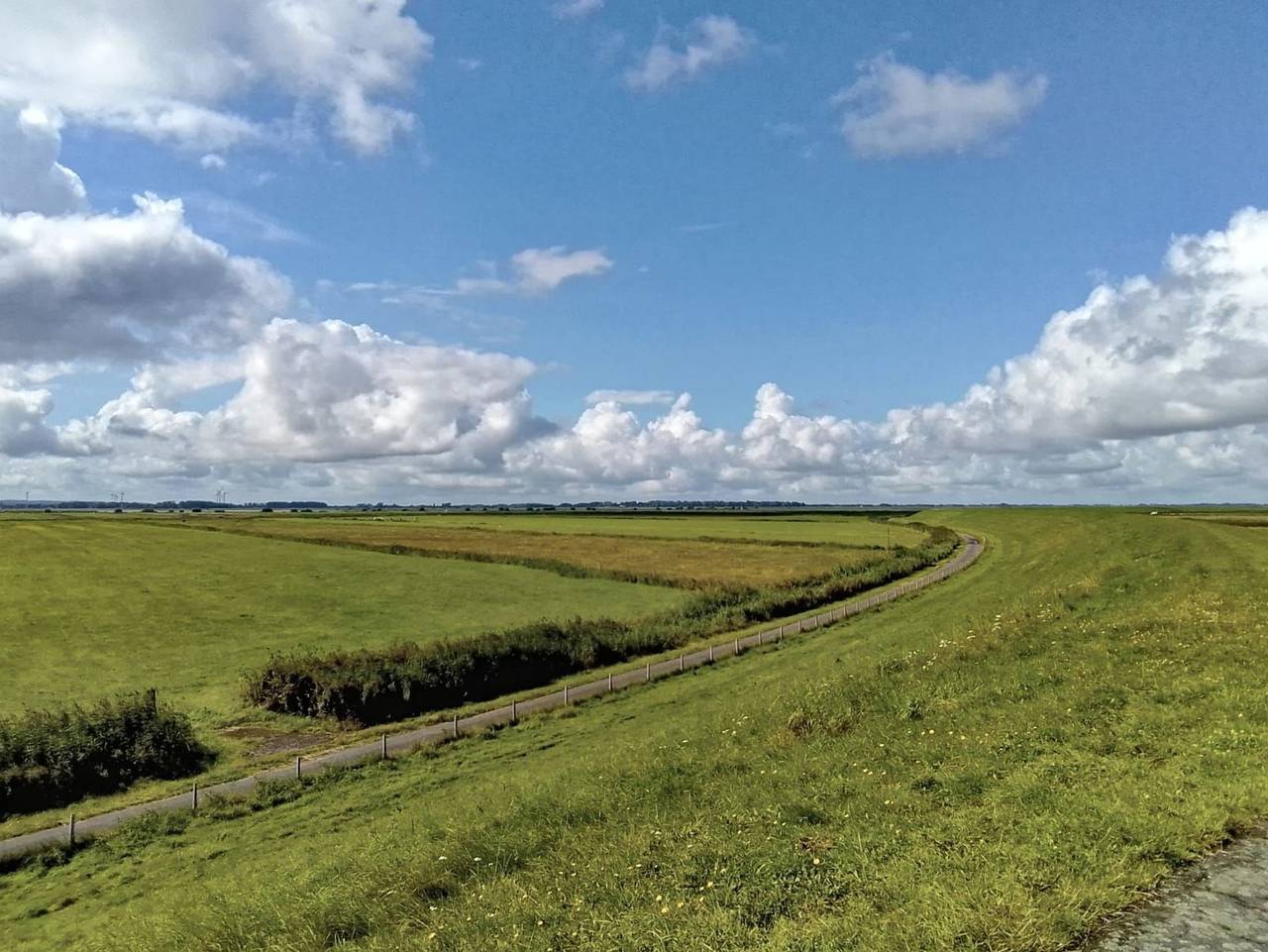 Ferienhaus Süderdeich-West 7 - Ferienhaus, 6 Pers. in Balje, Cuxland