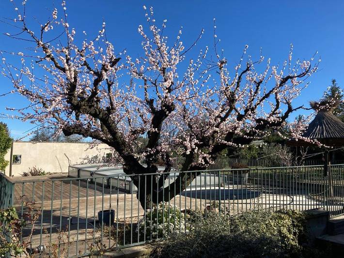 Maison de campagne pour 2 personnes, avec jacuzzi et jardin ainsi que piscine et terrasse à Eyragues - 4