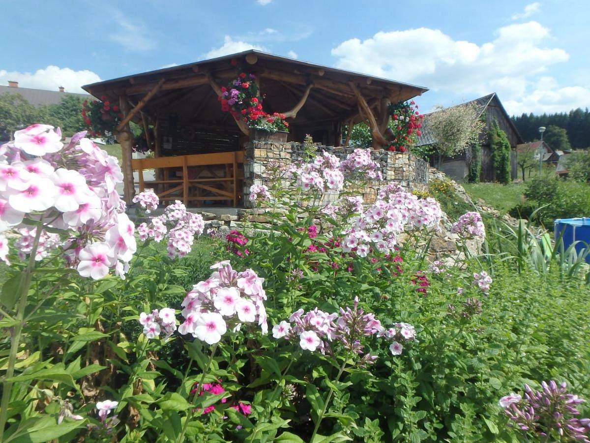 Cały apartament, Apartment in Rokytnice nad Jizerou, Karkonosze Czechy