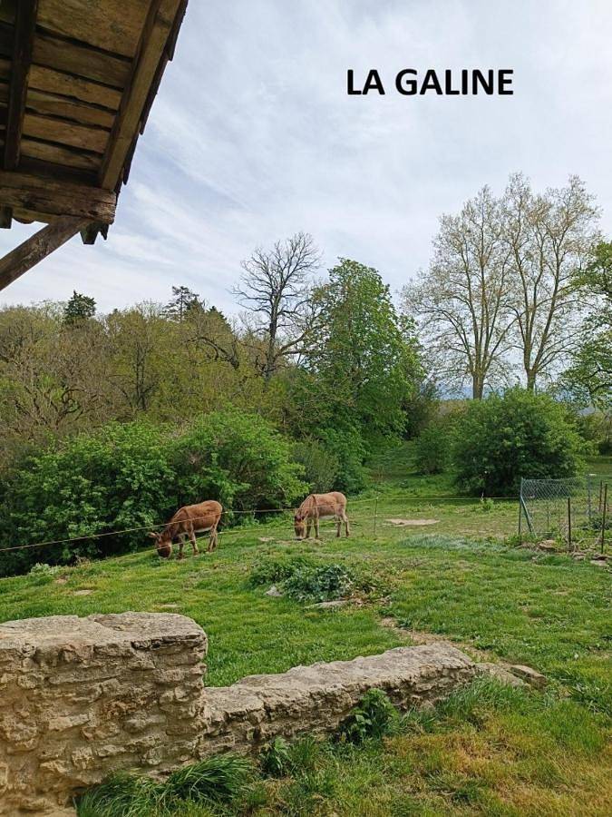 Location de vacances pour 6 personnes, avec Terrasse ainsi que Jardin et Vue à Castres - 3